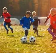 独门秘籍,揭秘,期大乐透必,河南体彩,河南体彩网,河南体彩网官网,体育彩票,体彩大乐透,竞彩足球,体彩公益