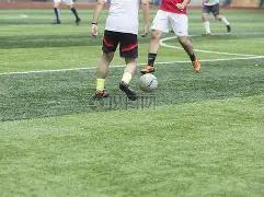 蓝球秘境,期彩,今日独家预,河南体彩,河南体彩网,河南体彩网官网,体育彩票,体彩大乐透,竞彩足球,体彩公益