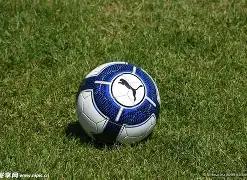 独家揭秘,期体彩排列,三精准预测,河南体彩,河南体彩网,河南体彩网官网,体育彩票,体彩大乐透,竞彩足球,体彩公益