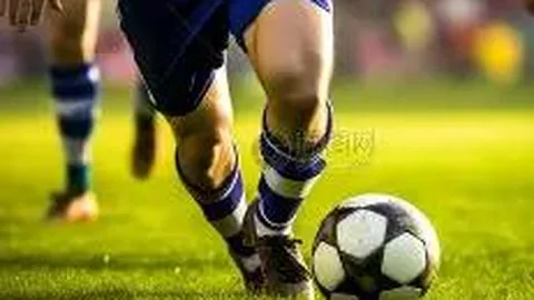 河南体彩网 资讯 095947 x0d