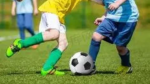 河南体彩网 资讯 100025 gxk